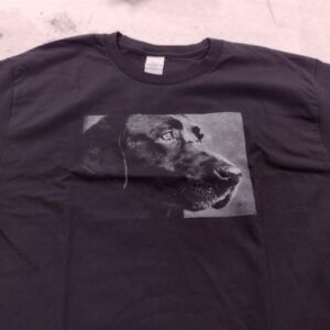 black lab design