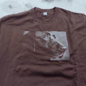 chocolate lab design