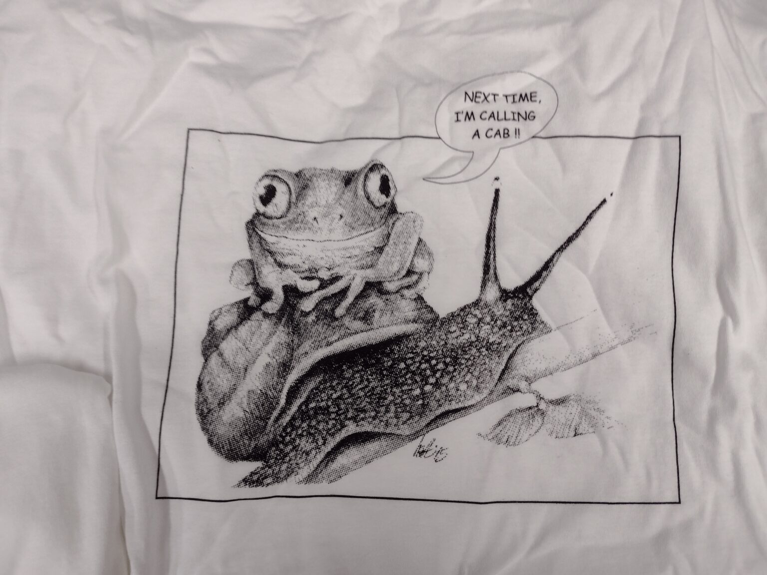 Frog and Snail - thefrogprints
